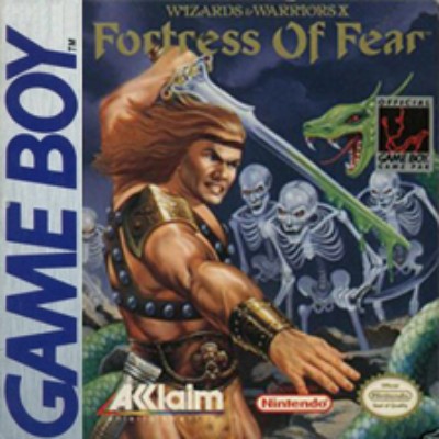 Wizards & Warriors X: Fortress of Fear Cover Art