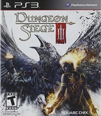 Dungeon Siege III Cover Art